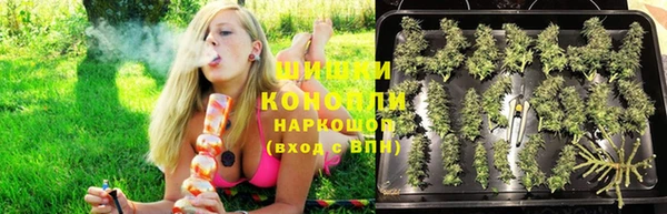 дмт Михайловск